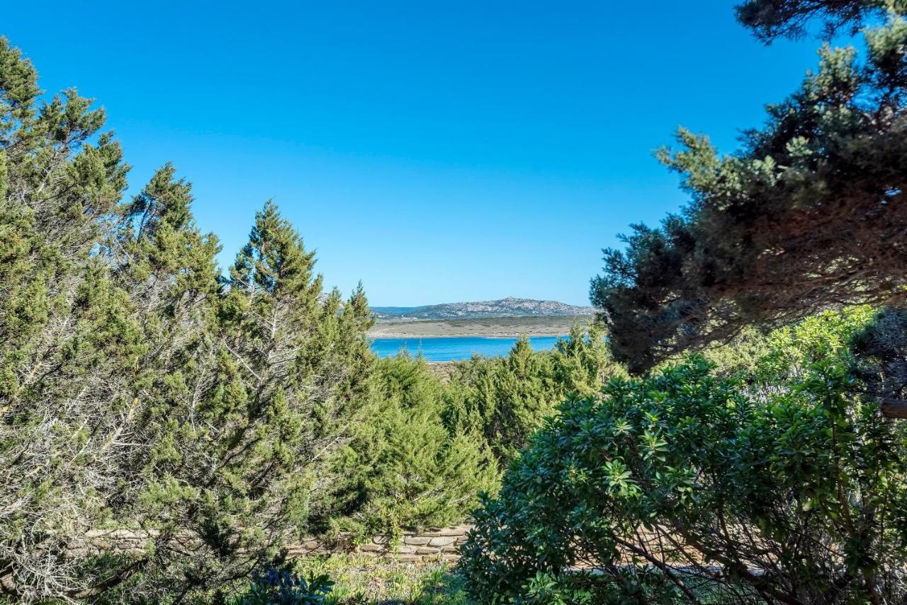 Sardinia Re - Villa Pelosa Stintino Exterior photo